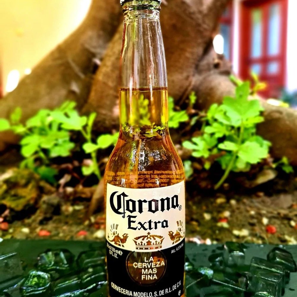CORONA 330 ML